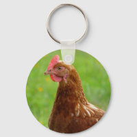 Jay Hen Rhode Island Poulet rouge