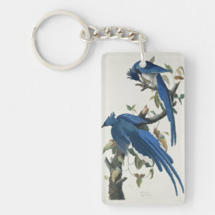 Porte-clés Jay noir à pâte molle à tarte noire Audubon Columb