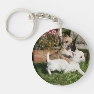Porte-clés Jeu de chiot de chiwawa