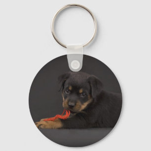 Porte-clés Jeu du chiot 5
