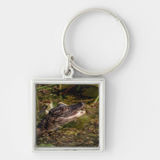 Porte-clés Jeune Alligator (Devant)