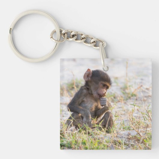Porte-clés Jeune Baboon (Devant)