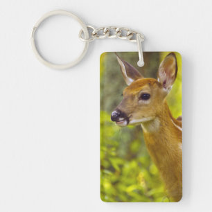 Porte-clés Jeune cerf de Virginie à Whitefish, Montana, États