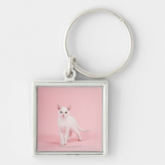 Porte-clés Jeune chat blanc (Devant)
