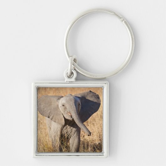 Porte-clés Jeune éléphant de savane (Devant)