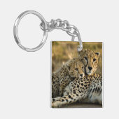 Porte-clés Jeune guépard câlinant sa mère (Devant gauche)