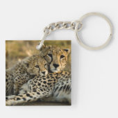 Porte-clés Jeune guépard câlinant sa mère (Dos)