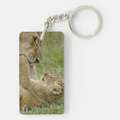 Porte-clés Jeune lion jouant (Dos)