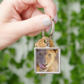 Porte-clés Jeune lion masculin (main)