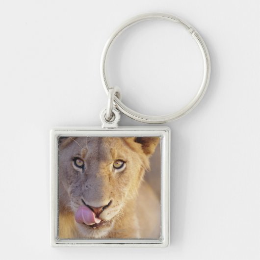 Porte-clés Jeune lion masculin (Devant)