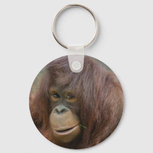 Porte-clés Jeune Orangutan Joueur