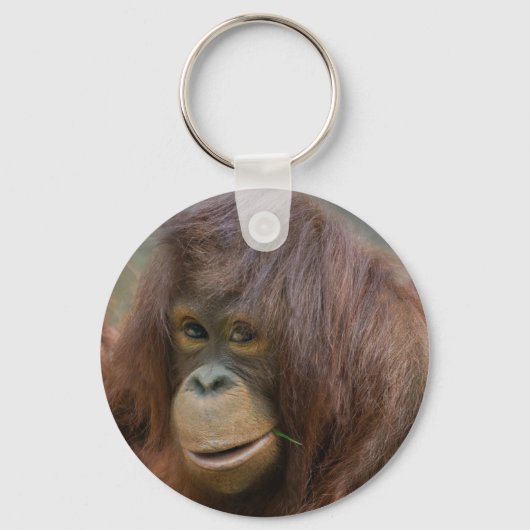 Porte-clés Jeune Orangutan Joueur (Recto)