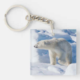 Porte-clés Jeune Ours Polaire Mâle