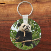 Porte-clés Jeune panda géant - porte - clé (Recto)