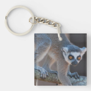 Porte-clés Jeune porte - clé de lémur