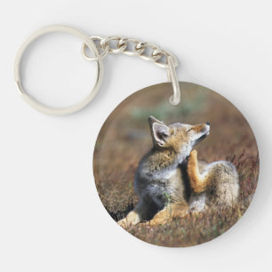 Porte-clés Jeune Renard Gris à Torres Del Paine National Park