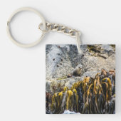 Porte-clés Jeune Sceau De Fourrure Sur Le Rocher (Devant)