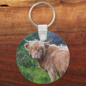 Porte-clés jeune vache des Highlands (Recto)