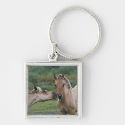 Porte-clés Jeunes chevaux de Henson se rencontrant (Devant)