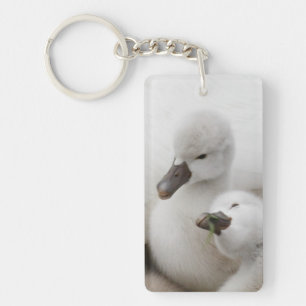 Porte-clés Jeunes cygnes de cygne muet