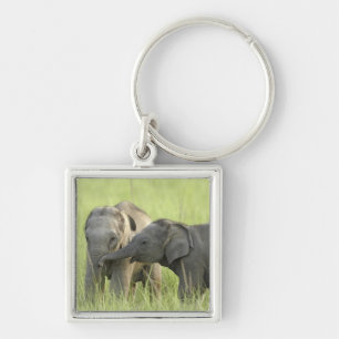 Porte-clés Jeunes éléphants d'Inde / d'Asie