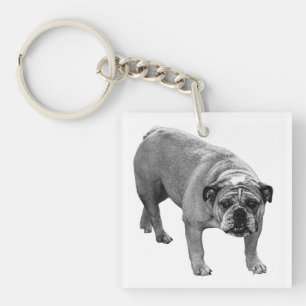 Porte-clés Jingle Keys Bulldog