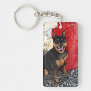 Porte-clés Joie de MInPin