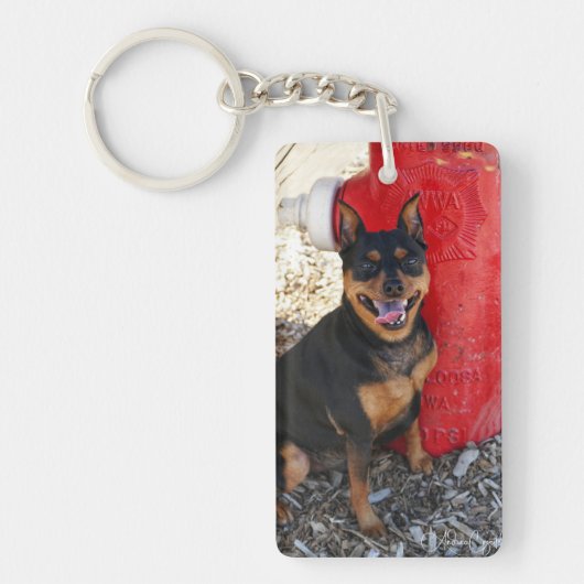 Porte-clés Joie de MInPin (Devant)