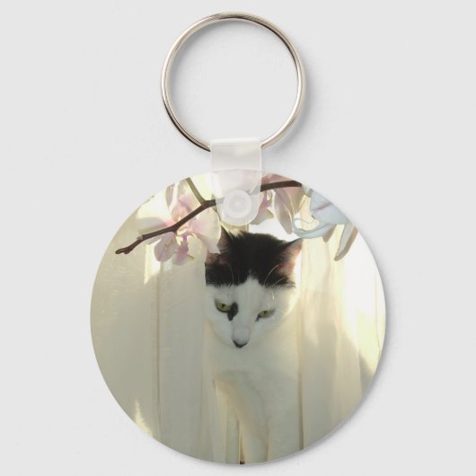 Porte-clés Joli chat blanc (Recto)