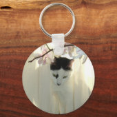 Porte-clés Joli chat blanc (Recto)