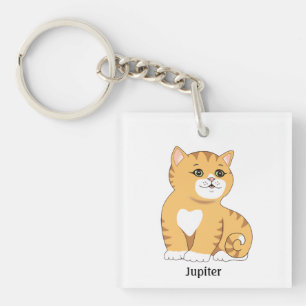 Porte-clés Joli chat tigré orange