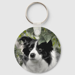 Porte-clés Joli chien Colley