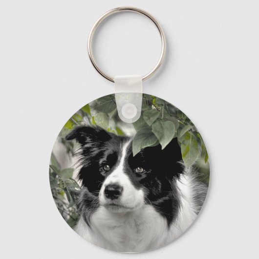 Porte-clés Joli chien Colley (Recto)