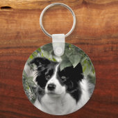 Porte-clés Joli chien Colley (Recto)