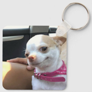 Porte-clés Joli Chihuahua Chien mème Porte - clé double face