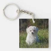 Porte-clés Joli chiot blanc (Devant)