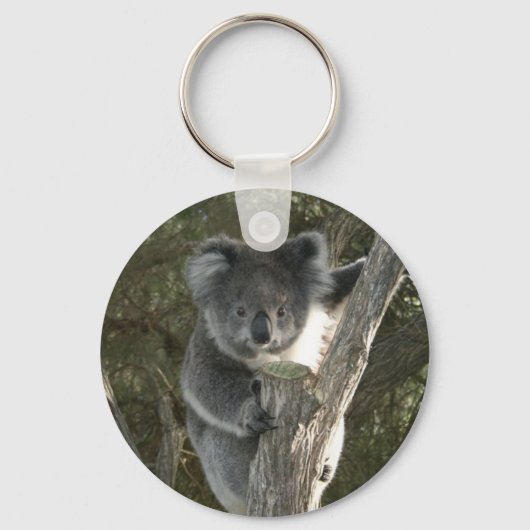 Porte-clés Joli koala grimpant à un arbre (Recto)