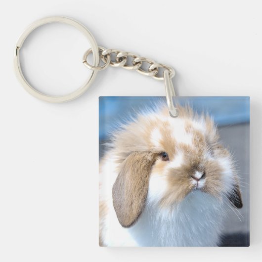 Porte-clés Joli lapin blanc et brun flamand (Devant)
