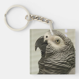 Porte-clés Joli perroquet gris du Congo