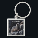 Porte-clés Joli phoque bébé sur les rochers Tasmanie Australi<br><div class="desc">Les phoques à fourrure sont les animaux les plus mignons et les plus curieux. Et ils sont incroyablement ludiques. Ce porte - clé unique présente une photo d'un phoque à fourrure de bébé profitant du soleil sur les rochers autour de l'île Tasman en Tasmanie, Australie. Vous pouvez le personnaliser avec...</div>