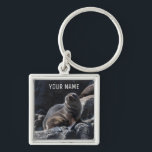 Porte-clés Joli phoque bébé sur les rochers Tasmanie Australi<br><div class="desc">Les phoques à fourrure sont les animaux les plus mignons et les plus curieux. Et ils sont incroyablement ludiques. Ce porte - clé unique présente une photo d'un phoque à fourrure de bébé profitant du soleil sur les rochers autour de l'île Tasman en Tasmanie, Australie. Vous pouvez le personnaliser avec...</div>