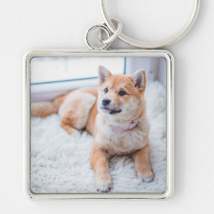 Porte-clés Joli Photo Personnalisée Porte - clé chien animal 