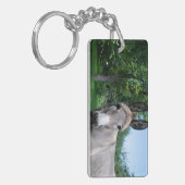 Porte-clés Joli portrait d'âne (Devant gauche)