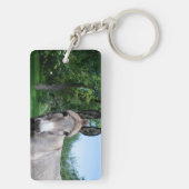 Porte-clés Joli portrait d'âne (Dos)