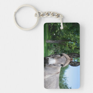 Porte-clés Joli portrait d'âne