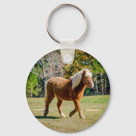 Porte-clés Joli Shetland Pony (Recto)