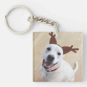 Porte-clés Joli sourire blanc renne Chien Chien Chien Chien C