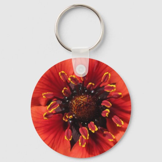 Porte-clés Jolie fleur de jardin rouge (Recto)