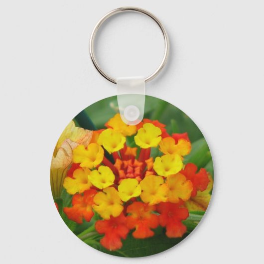 Porte-clés Jolie Lantana (Recto)