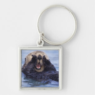 Porte-clés Jolie loutre de mer Alaska, États-Unis